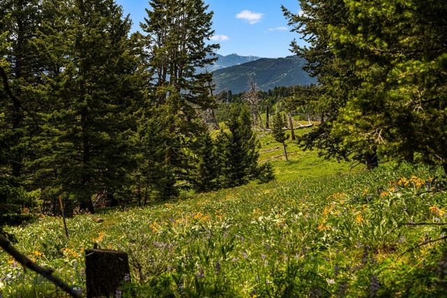 NHN Peak Point Drive Lot 1, Livingston, MT 59047