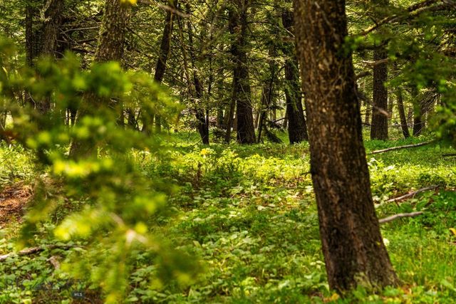 NHN Peak Point Drive Lot 1, Livingston, MT 59047