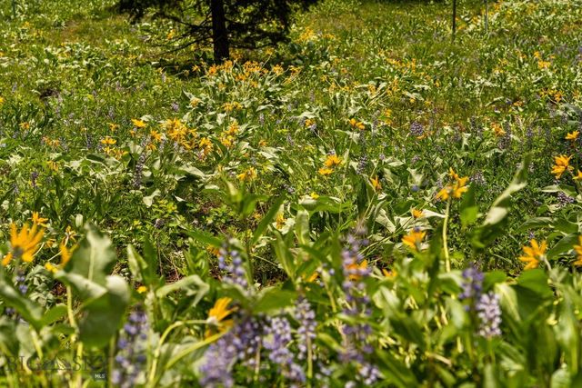 NHN Peak Point Drive Lot 1, Livingston, MT 59047