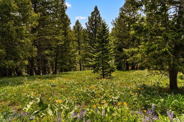 NHN Peak Point Drive Lot 1, Livingston, MT 59047