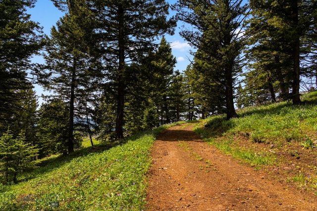 NHN Peak Point Drive Lot 1, Livingston, MT 59047