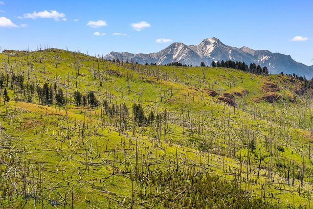 NHN Peak Point Drive Lot 1, Livingston, MT 59047