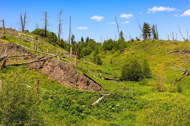 NHN Peak Point Drive Lot 1, Livingston, MT 59047