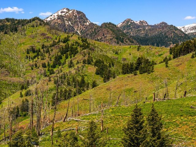 NHN Peak Point Drive Lot 1, Livingston, MT 59047