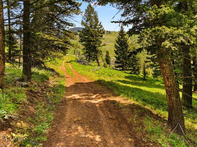 NHN Peak Point Drive Lot 1, Livingston, MT 59047