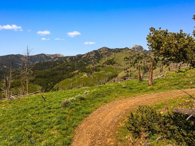 NHN Peak Point Drive Lot 1, Livingston, MT 59047