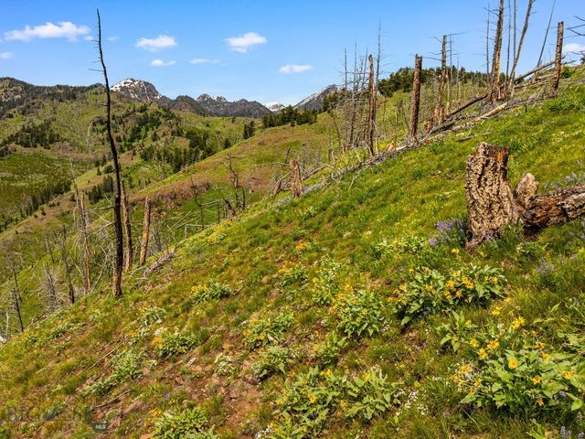 NHN Peak Point Drive Lot 1, Livingston, MT 59047