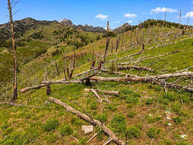 NHN Peak Point Drive Lot 1, Livingston, MT 59047