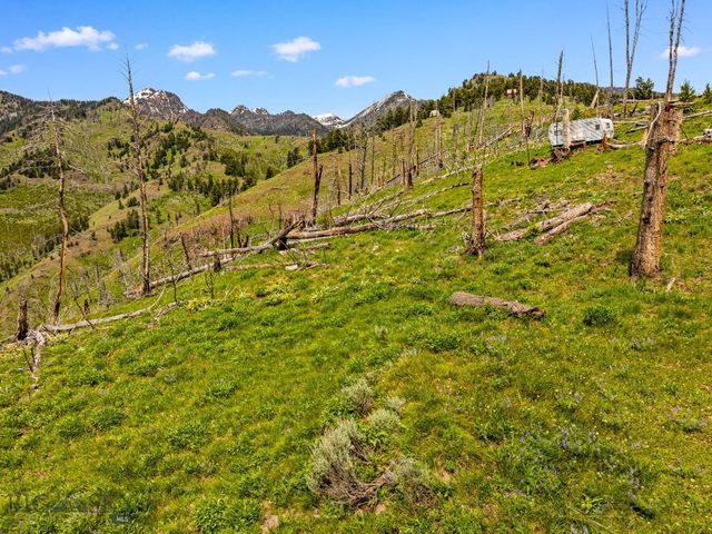 NHN Peak Point Drive Lot 1, Livingston, MT 59047