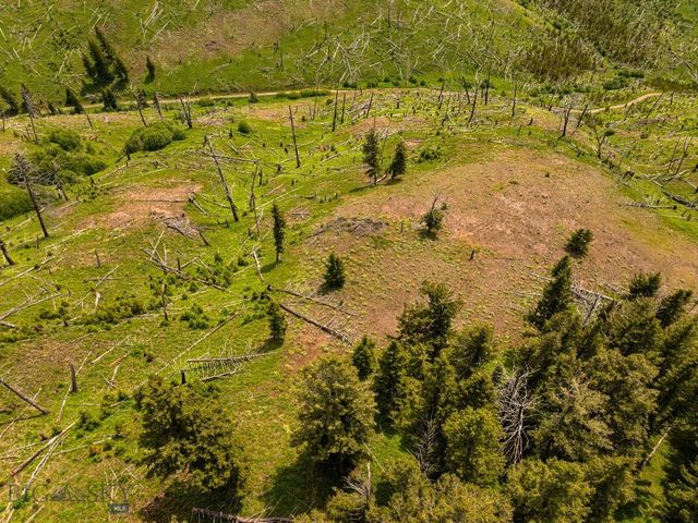 NHN Peak Point Drive Lot 1, Livingston, MT 59047