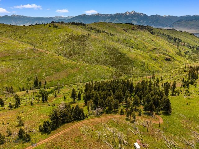NHN Peak Point Drive Lot 1, Livingston, MT 59047