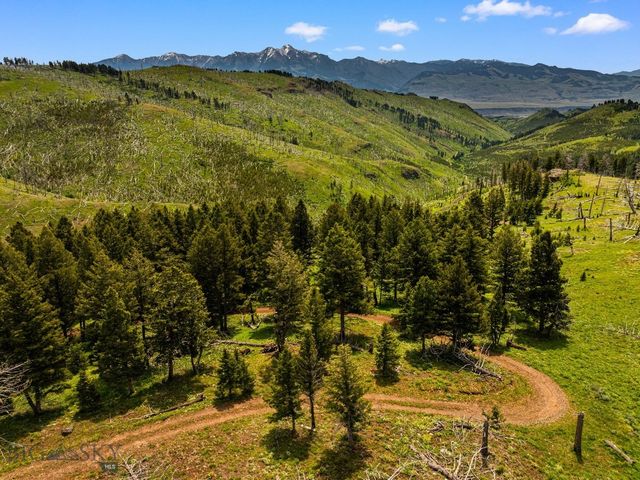 NHN Peak Point Drive Lot 1, Livingston, MT 59047