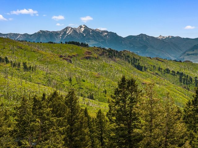 NHN Peak Point Drive Lot 1, Livingston, MT 59047