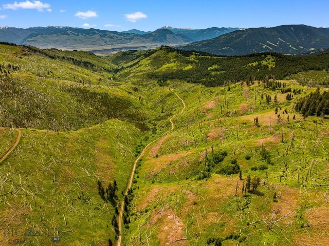 NHN Peak Point Drive Lot 1, Livingston, MT 59047