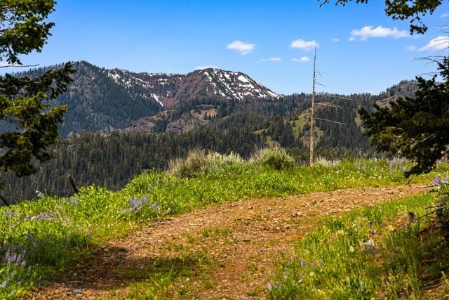 NHN Peak Point Drive Lot 1, Livingston, MT 59047