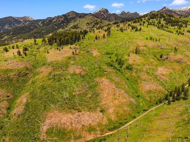NHN Peak Point Drive Lot 1, Livingston, MT 59047