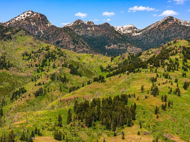 NHN Peak Point Drive Lot 1, Livingston, MT 59047