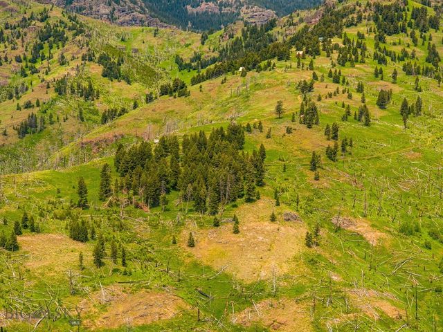NHN Peak Point Drive Lot 1, Livingston, MT 59047