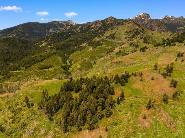 NHN Peak Point Drive Lot 1, Livingston, MT 59047