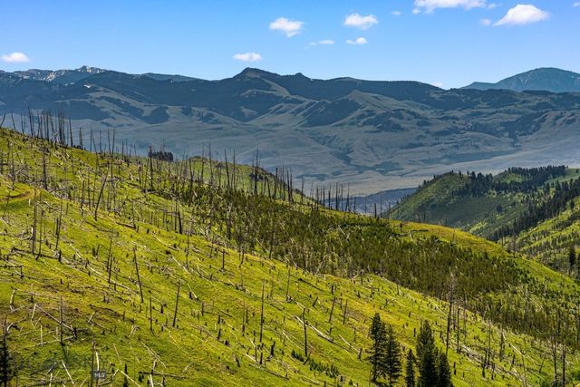 NHN Peak Point Drive Lot 1, Livingston, MT 59047