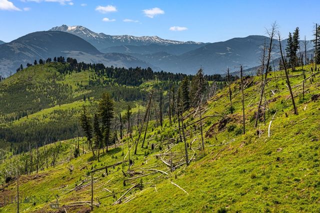 NHN Peak Point Drive Lot 1, Livingston, MT 59047