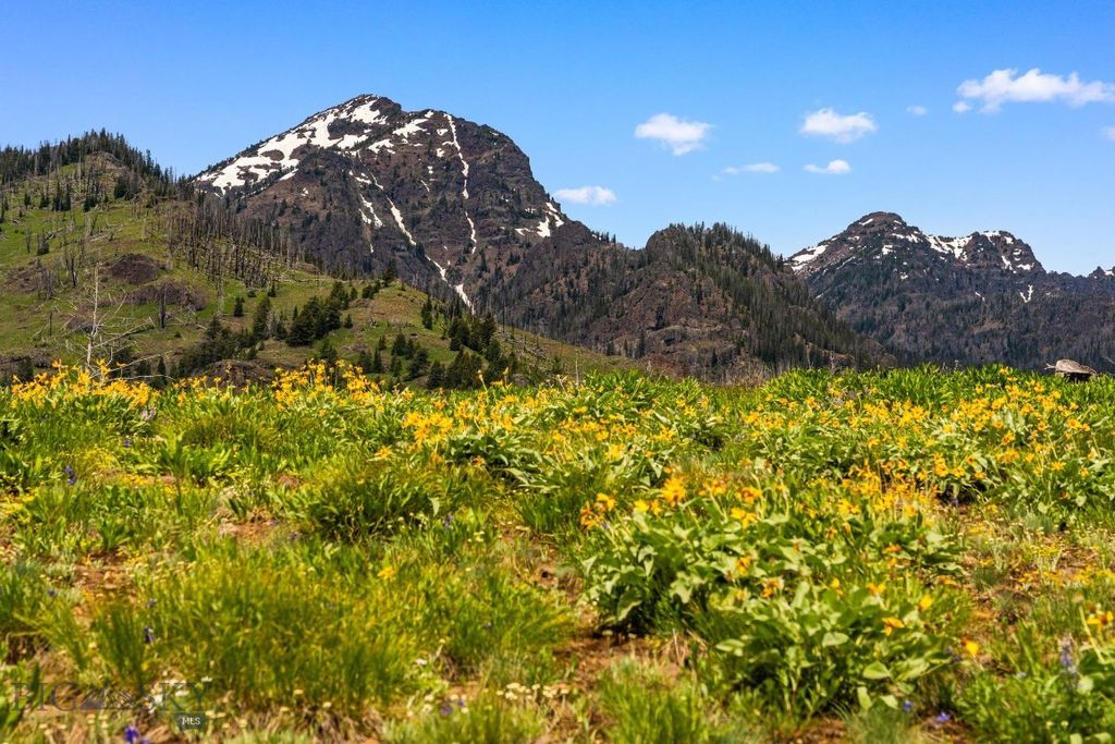 NHN Peak Point Drive Lot 1, Livingston, MT 59047