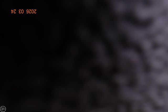 19200 Blackmoor Street, Detroit, MI 48234