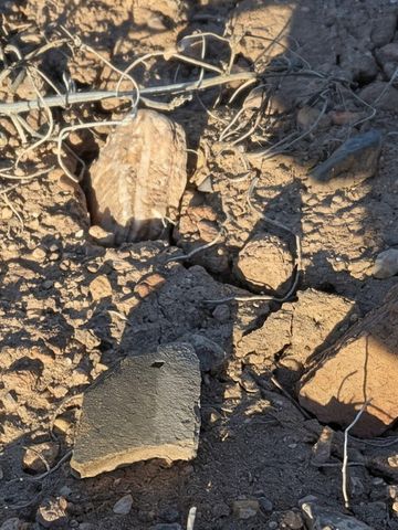 4 Camino Mesteno, Placitas, NM 87043