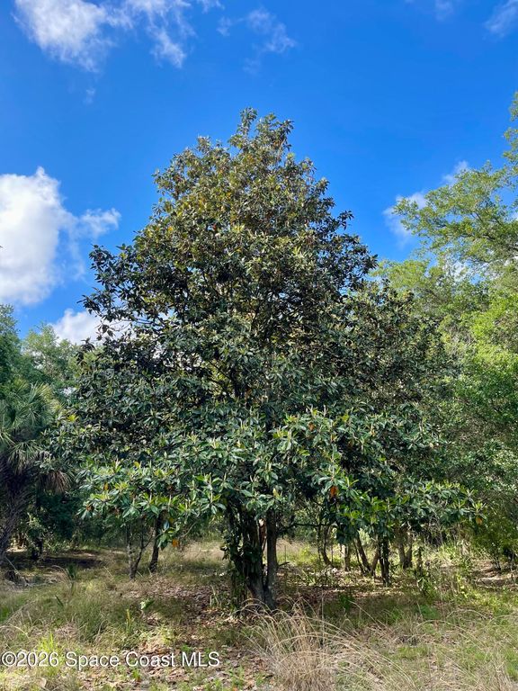 00 Willowbrook Drive, Palm Bay, FL 32909