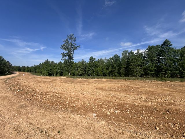 24 Pafford Lane, Erin, TN 37061