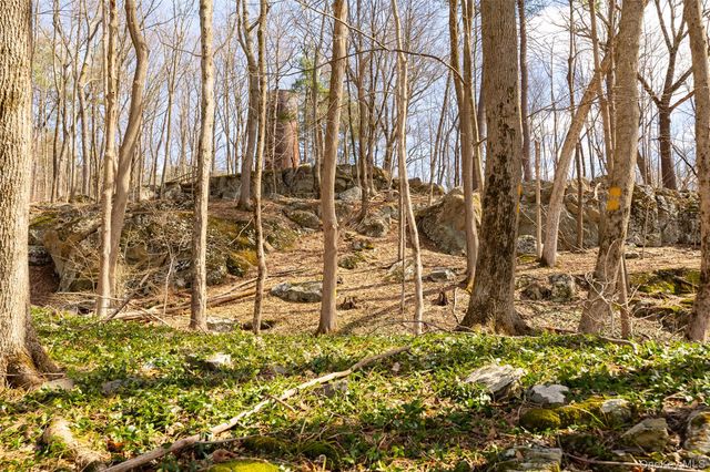 14 Van Wert Place, Hyde Park, NY 12538