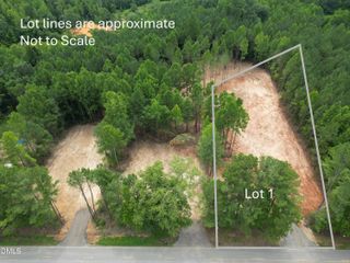 2346 Peachtree Hills Road, Spring Hope, NC 27882