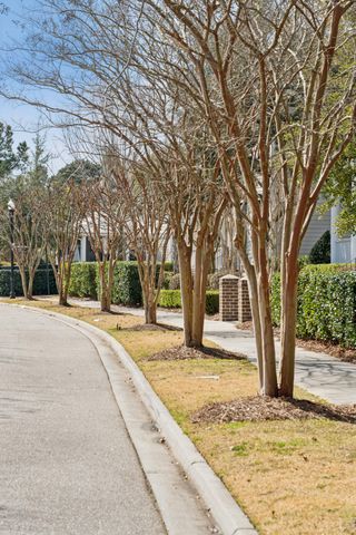 217 Amberjack Lane, Charleston, SC 29492
