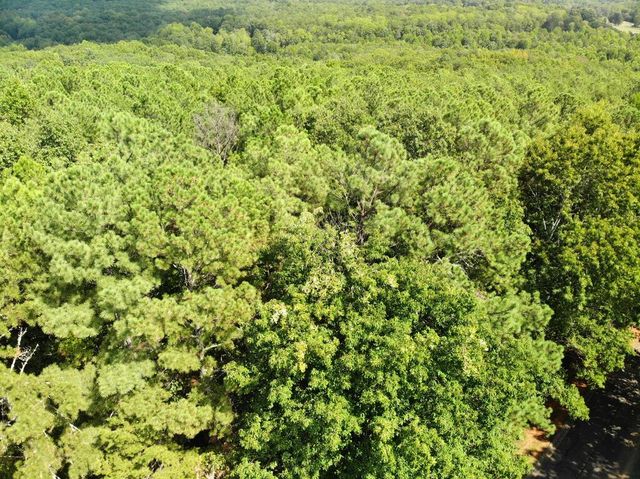 0 Cider Ridge, Clarkesville, GA 30523