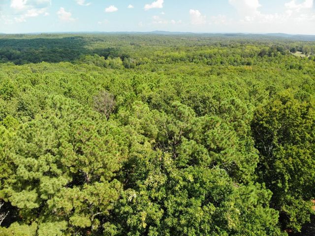 0 Cider Ridge, Clarkesville, GA 30523
