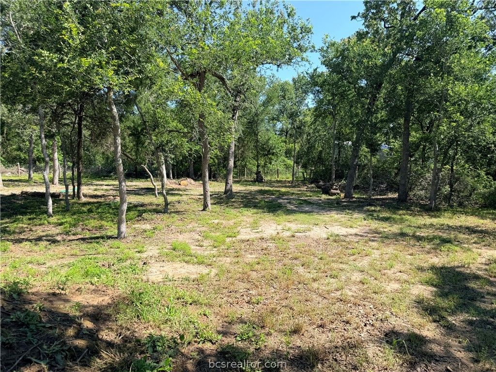 281 Redberry Road, Somerville, TX 77879 — exterior
