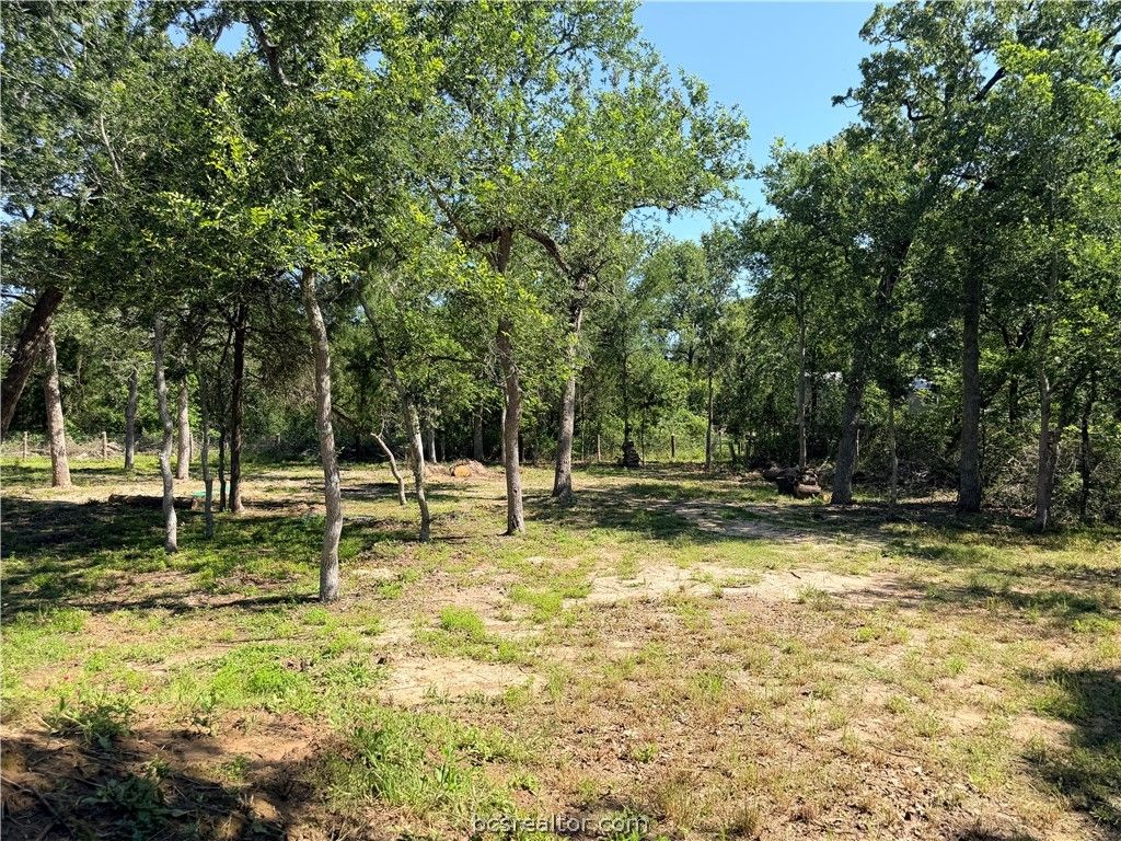 281 Redberry Road, Somerville, TX 77879 — photo 2