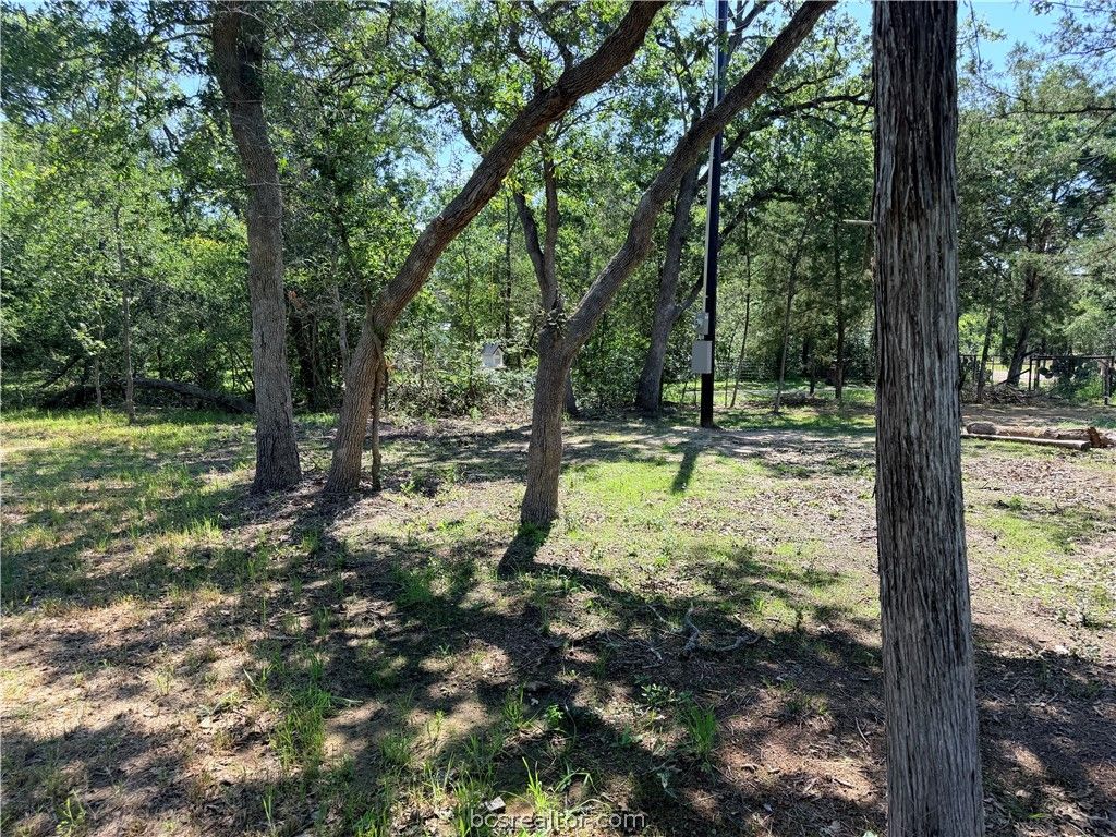 281 Redberry Road, Somerville, TX 77879 — photo 4