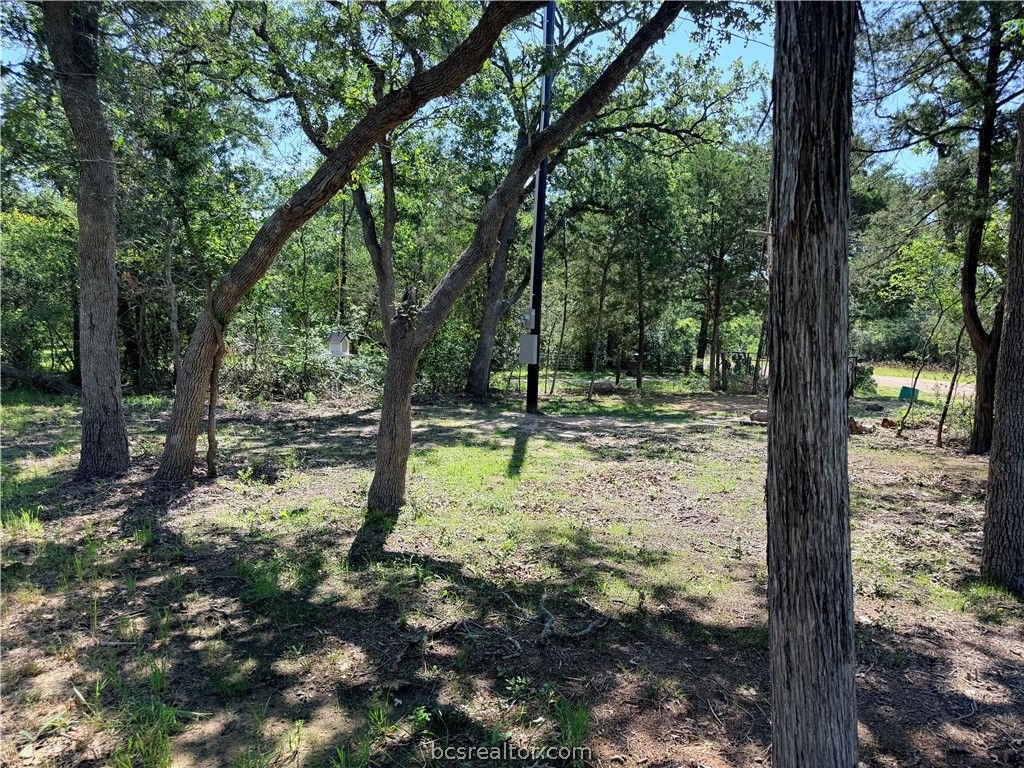 281 Redberry Road, Somerville, TX 77879 — photo 5