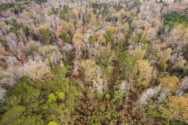 0 Phillips Rd., Sumrall, MS 39482