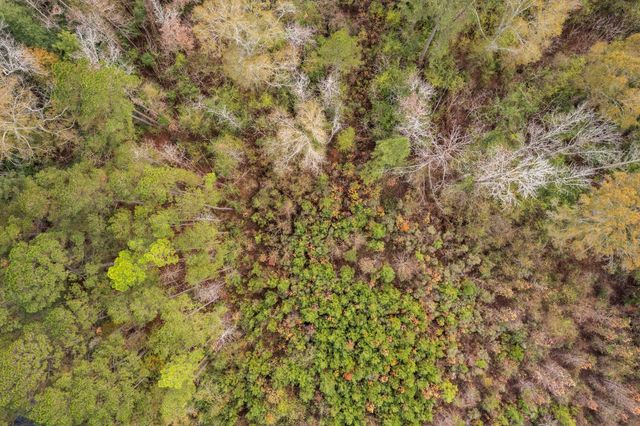 0 Phillips Rd., Sumrall, MS 39482