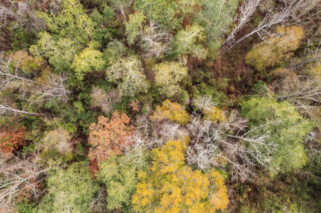 0 Phillips Rd., Sumrall, MS 39482