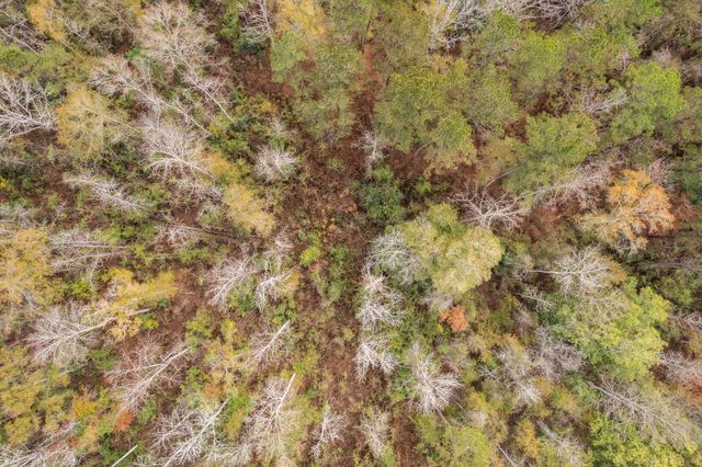 0 Phillips Rd., Sumrall, MS 39482