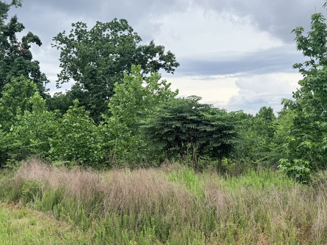 0 Lake Ridge Dr, Stewart, TN 37175
