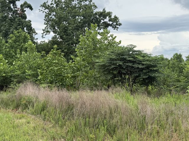 0 Lake Ridge Dr, Stewart, TN 37175
