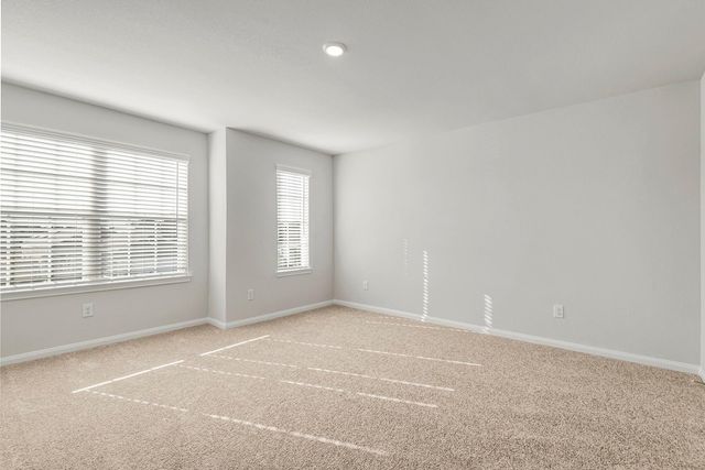 8212 Vanilla Orchid Drive, Houston, TX 77016