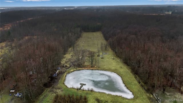 3212 Hickox Road, Hamburg, NY 14075