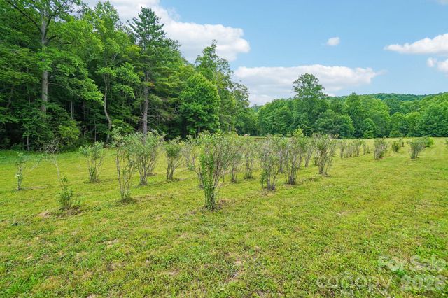 246 Appalachian Retreat None, Spruce Pine, NC 28777