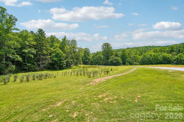 246 Appalachian Retreat None, Spruce Pine, NC 28777