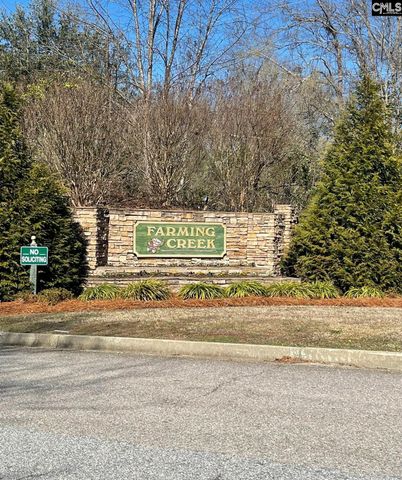 109 Harmon Creek Drive, Lexington, SC 29072